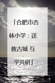 合肥市杏林小学：送教古城 互学共研