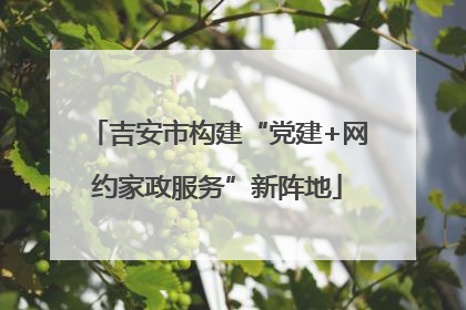 吉安市构建“党建+网约家政服务”新阵地