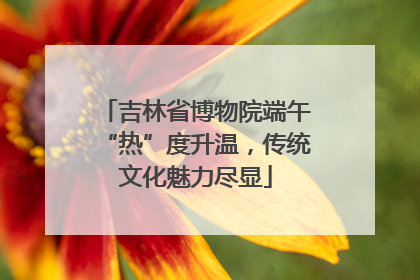 吉林省博物院端午“热”度升温，传统文化魅力尽显