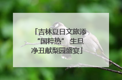 吉林夏日文旅添“国粹热” 生旦净丑献梨园盛宴