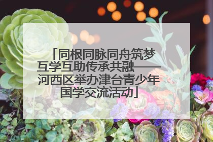 同根同脉同舟筑梦 互学互助传承共融——河西区举办津台青少年国学交流活动