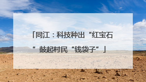 同江：科技种出“红宝石”鼓起村民“钱袋子”