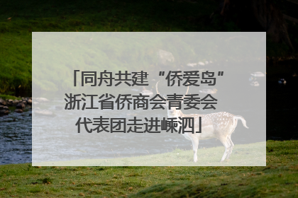 同舟共建“侨爱岛” 浙江省侨商会青委会代表团走进嵊泗