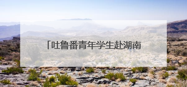吐鲁番青年学生赴湖南铁道职院开展“石榴籽·祖国行”交流活动