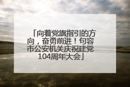 向着党旗指引的方向，奋勇前进！句容市公安机关庆祝建党104周年大会