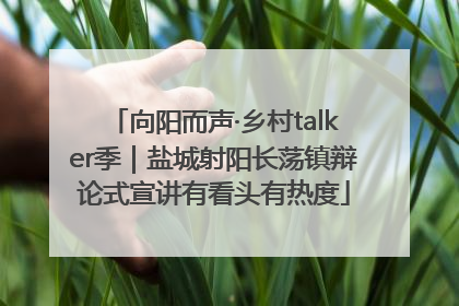 向阳而声·乡村talker季｜盐城射阳长荡镇辩论式宣讲有看头有热度