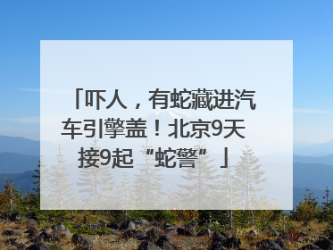 吓人，有蛇藏进汽车引擎盖！北京9天接9起“蛇警”