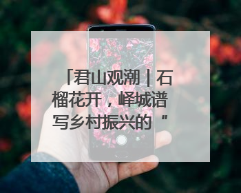君山观潮｜石榴花开，峄城谱写乡村振兴的“新”篇章