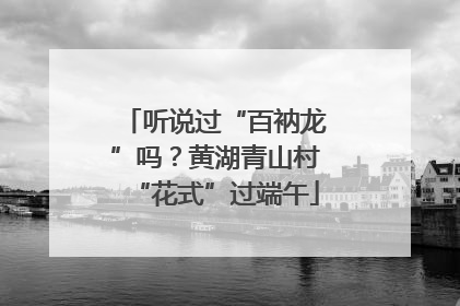 听说过“百衲龙”吗？黄湖青山村“花式”过端午