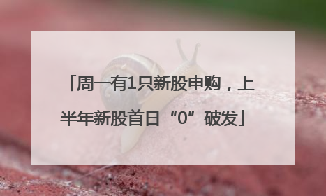 周一有1只新股申购，上半年新股首日“0”破发