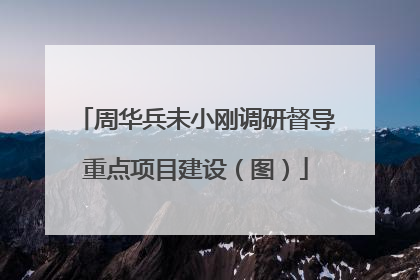 周华兵未小刚调研督导重点项目建设（图）