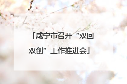 咸宁市召开“双回双创”工作推进会