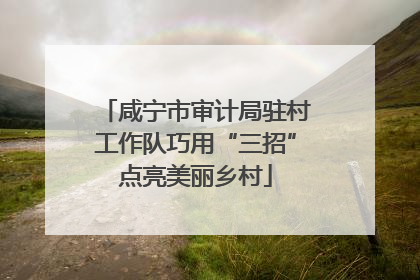 咸宁市审计局驻村工作队巧用“三招”点亮美丽乡村