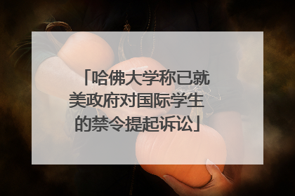 哈佛大学称已就美政府对国际学生的禁令提起诉讼