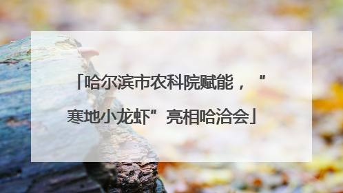 哈尔滨市农科院赋能，“寒地小龙虾”亮相哈洽会