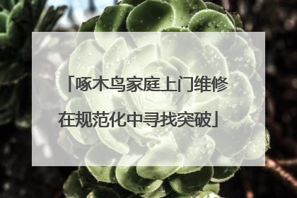啄木鸟家庭上门维修在规范化中寻找突破