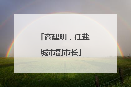 商建明，任盐城市副市长