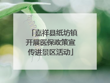 嘉祥县纸坊镇开展医保政策宣传进景区活动