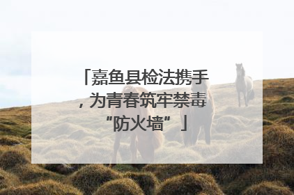 嘉鱼县检法携手，为青春筑牢禁毒“防火墙”