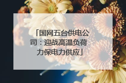 国网五台供电公司：迎战高温负荷 力保电力供应