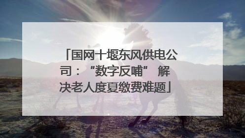国网十堰东风供电公司：“数字反哺” 解决老人度夏缴费难题