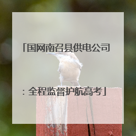 国网南召县供电公司：全程监督护航高考