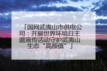 国网武夷山市供电公司：开展世界环境日主题宣传活动守护武夷山生态“高颜值”