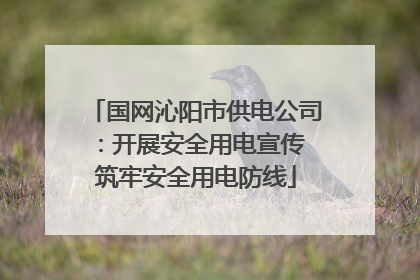 国网沁阳市供电公司：开展安全用电宣传 筑牢安全用电防线