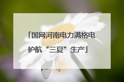 国网河南电力满格电护航“三夏”生产