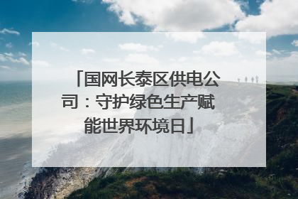 国网长泰区供电公司：守护绿色生产赋能世界环境日