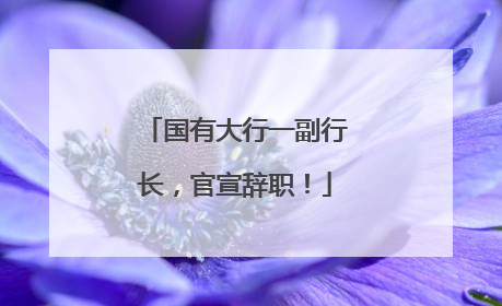 国有大行一副行长，官宣辞职！