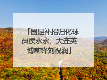 国足补招归化球员侯永永、大连英博前锋刘祝润