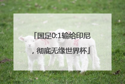 国足0:1输给印尼，彻底无缘世界杯