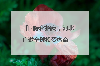 国际化招商，河北广邀全球投资客商