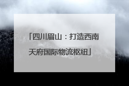 四川眉山：打造西南天府国际物流枢纽