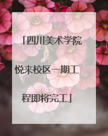 四川美术学院悦来校区一期工程即将完工