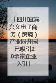四川宜宾兴文电子商务（跨境）产业园开园 已吸引20余家企业入驻