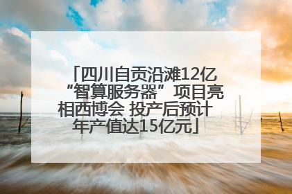 四川自贡沿滩12亿“智算服务器”项目亮相西博会 投产后预计年产值达15亿元