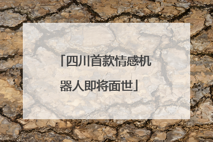 四川首款情感机器人即将面世