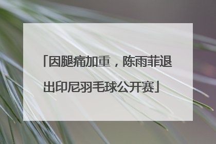 因腿痛加重,陈雨菲退出印尼羽毛球公开赛