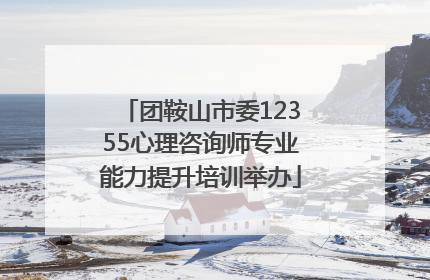 团鞍山市委12355心理咨询师专业能力提升培训举办