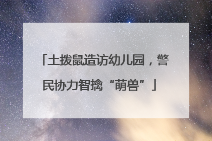 土拨鼠造访幼儿园，警民协力智擒“萌兽”