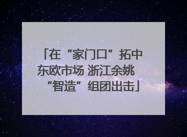 在“家门口”拓中东欧市场 浙江余姚“智造”组团出击