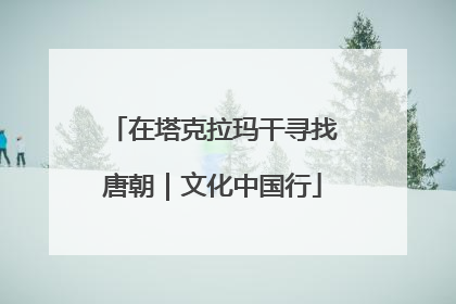 在塔克拉玛干寻找唐朝｜文化中国行
