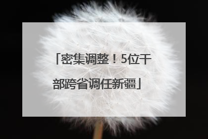 密集调整！5位干部跨省调任新疆