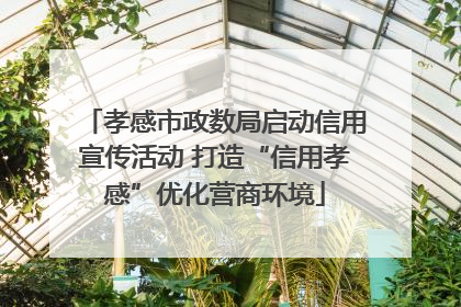 孝感市政数局启动信用宣传活动 打造“信用孝感”优化营商环境