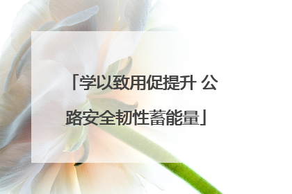 学以致用促提升 公路安全韧性蓄能量