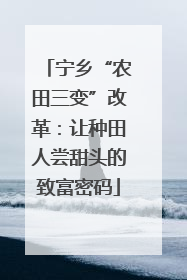 宁乡“农田三变”改革：让种田人尝甜头的致富密码