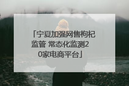宁夏加强网售枸杞监管 常态化监测20家电商平台