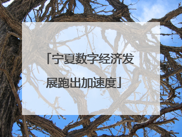 宁夏数字经济发展跑出加速度